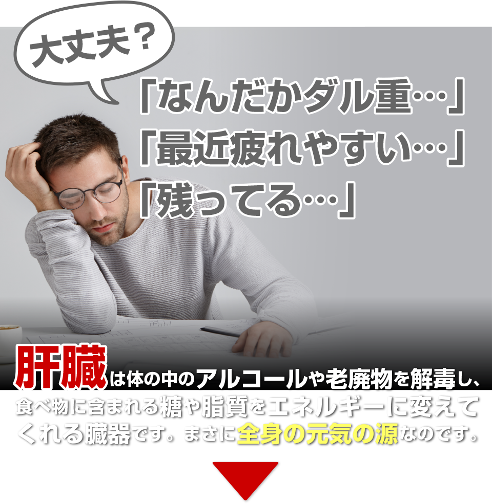 「最近疲れやすい…」「残ってる…」肝臓は体の中のアルコールや老廃物を解毒し、食べ物に含まれる糖や脂質をエネルギーに変えてくれる臓器です。